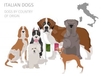 Dogs by country of origin. Italian dog breeds. Infographic template. Vector illustration