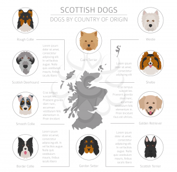 Dogs by country of origin. Scottish dog breeds. Infographic template. Vector illustration