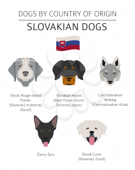 Dogs by country of origin. Slovakian dog breeds. Infographic template. Vector illustration