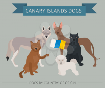 Dogs by country of origin. Spain. Canary islands dog breeds. Infographic template. Vector illustration