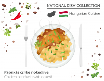 Hungarian Cuisine. European national dish collection. Chicken paprikash with nikedli  isolated on white, infographic. Vector illustration