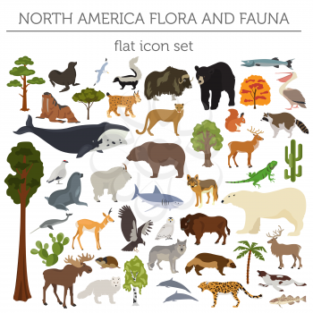 North America flora and fauna flat elements. Animals, birds and sea life big set. Build your geography infographics collection. Vector illustration