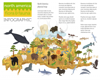 Isometric 3d North America flora and fauna map elements. Animals, birds and sea life. Build your own geography infographics collection. Vector illustration