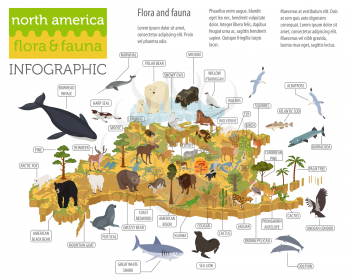 Isometric 3d North America flora and fauna map elements. Animals, birds and sea life. Build your own geography infographics collection. Vector illustration
