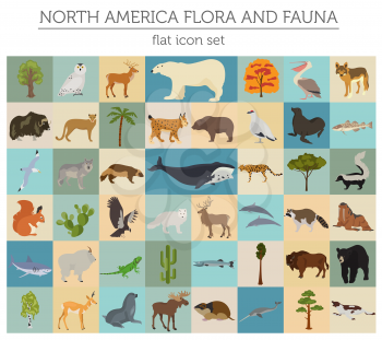North America flora and fauna flat elements. Animals, birds and sea life big set. Build your geography infographics collection. Vector illustration