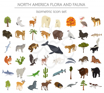 Isometric 3d North America flora and fauna elements. Animals, birds and sea life. Build your own geography infographics collection. Vector illustration