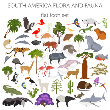 South America flora and fauna flat elements. Animals, birds and sea life big set. Build your geography infographics collection. Vector illustration