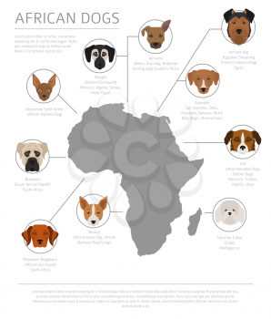 Dogs by country of origin. African dog breeds. Infographic template. Vector illustration