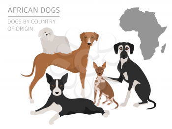 Dogs by country of origin. African dog breeds. Infographic template. Vector illustration