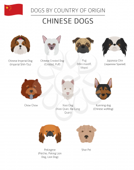 Dogs by country of origin. Chinese dog breeds. Infographic template. Vector illustration