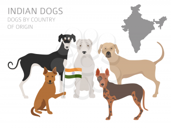 Dogs by country of origin. Indian dog breeds. Infographic template. Vector illustration