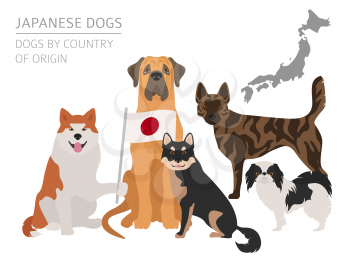 Dogs by country of origin. Japanese dog breeds. Infographic template. Vector illustration