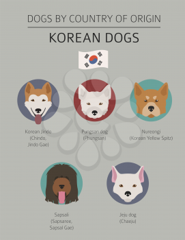 Dogs by country of origin. Korean dog breeds. Infographic template. Vector illustration