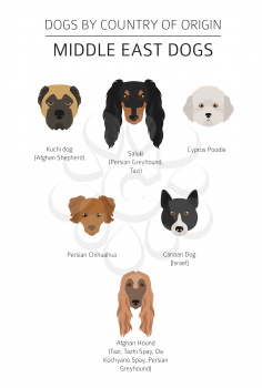 Dogs by country of origin. Near East dog breeds, persian dogs. Infographic template. Vector illustration
