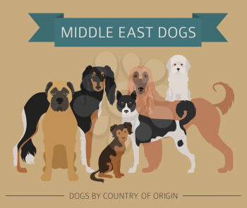 Dogs by country of origin. Near East dog breeds, persian dogs. Infographic template. Vector illustration