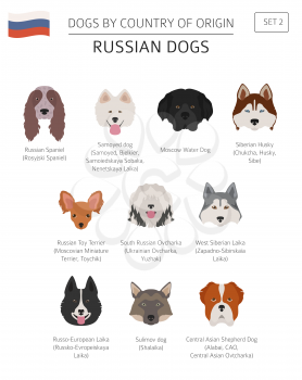 Dogs by country of origin. Russian dog breeds. Infographic template. Vector illustration