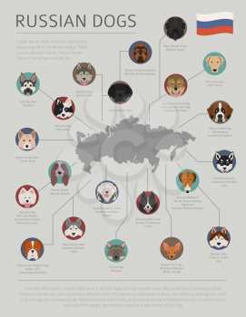 Dogs by country of origin. Russian dog breeds. Infographic template. Vector illustration
