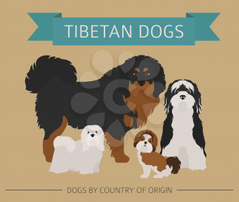Dogs by country of origin. Tibetan dog breeds, chinese mountain dogs. Infographic template. Vector illustration