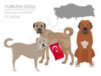 Dogs by country of origin. Turkish dog breeds. Infographic template. Vector illustration