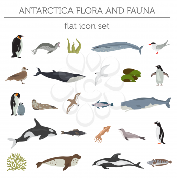 Antarctic, Antarctica flora and fauna flat elements. Animals, birds and sea life big set. Build your geography infographics collection. Vector illustration