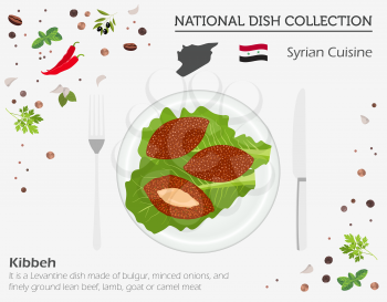 Syrian Cuisine. Middle East national dish collection.  Kibbeh isolated on white, infograpic. Vector illustration
