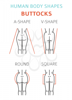 Human body shapes. Woman buttocks types set. Vector illustration