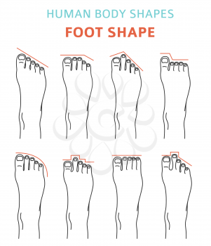 Human body shapes.Feet types icon set. Vector illustration
