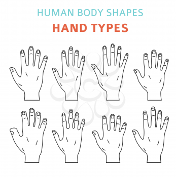 Human body shapes. Hand types icon set. Vector illustration