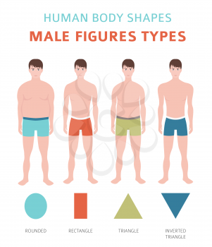 Human body shapes. Male figures types set. Vector illustration
