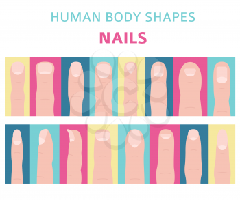 Human body shapes. Hand finger nail types set. Vector illustration