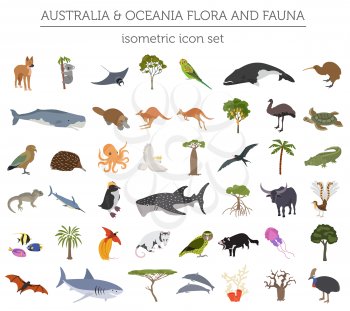 Isometric 3d Australia and Oceania flora and fauna. Animals, birds and sea life. Build your own geography infographics collection. Vector illustration