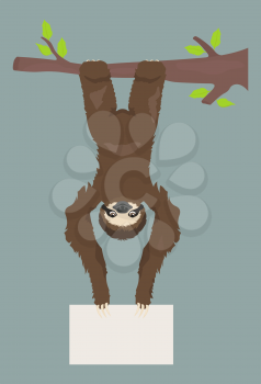 Sloth is holding a banner. Place for your advertising text. Funny cartoon animals. Vector illustration