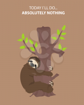 The story of one sloth. Outdoors. Funny cartoon sloths in different postures set. Vector illustration