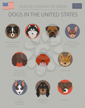 Dogs in the United States. American dog breeds. Infographic template. Vector illustration