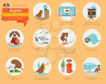 Puppy care and safety in your home. Kitchen. Pet dog training infographic design. Vector illustration