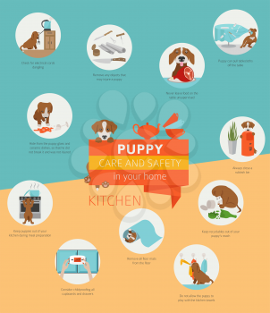 Puppy care and safety in your home. Kitchen. Pet dog training infographic design. Vector illustration