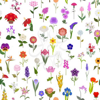 Your garden guide. Top 50 most popular flowers seamless pattern. Vector illustration