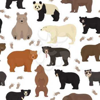 All world bear species in one set. Bears seamless pattern. Vector illustration