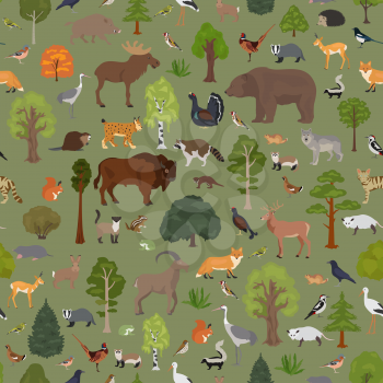 Temperate broadleaf forest and mixed forest biome seamless pattern.Terrestrial ecosystem world map. Animals, birds and plants graphic design. Vector illustration