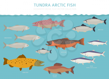 Tundra biome. Terrestrial ecosystem world map. Arctic fish infographic design. Vector illustration