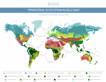 Terrestrial ecosystem world map. Biome. World climatic zone infographic design. Vector illustration