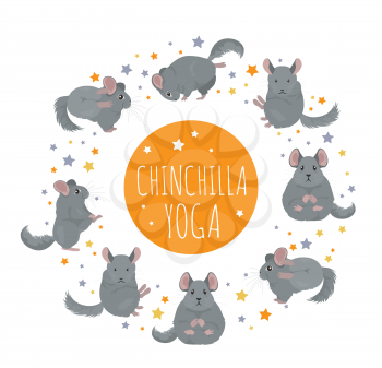 Chinchilla yoga poses and exercises. Cute cartoon clipart set. Vector illustration