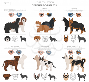 Designer dogs, crossbreed, hybrid mix pooches collection isolated on white. Flat style clipart set. Vector illustration