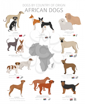 Dogs by country of origin. African dog breeds. Shepherds, hunting, herding, toy, working and service dogs  set.  Vector illustration