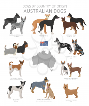 Dogs by country of origin. Australian dog breeds. Shepherds, hunting, herding, toy, working and service dogs  set.  Vector illustration