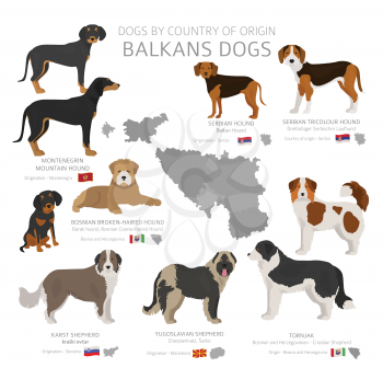 Dogs by country of origin. Balkans dog breeds. Shepherds, hunting, herding, toy, working and service dogs  set.  Vector illustration