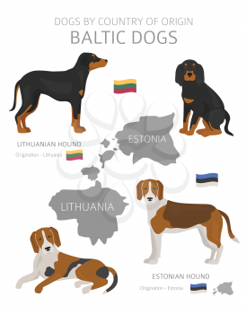 Dogs by country of origin. Baltic dog breeds. Shepherds, hunting, herding, toy, working and service dogs  set.  Vector illustration