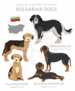 Dogs by country of origin. Bulgarian dog breeds. Shepherds, hunting, herding, toy, working and service dogs  set.  Vector illustration