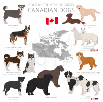 Dogs by country of origin. Canadian dog breeds. Shepherds, hunting, herding, toy, working and service dogs  set.  Vector illustration