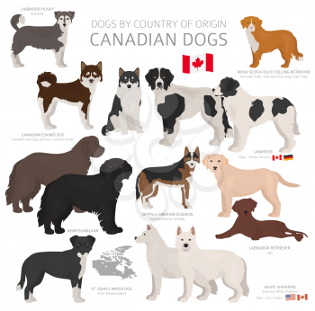 Dogs by country of origin. Canadian dog breeds. Shepherds, hunting, herding, toy, working and service dogs  set.  Vector illustration